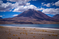 Atacama Chile 2026