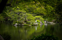 Japanese Gardens 2023